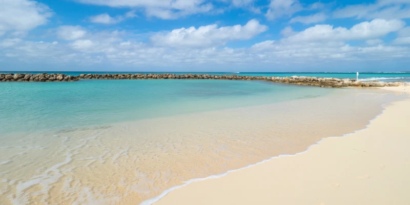 Beach Cove 1