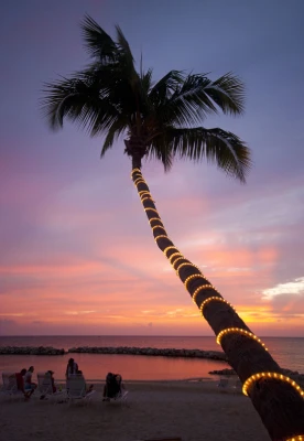 Sunset 3