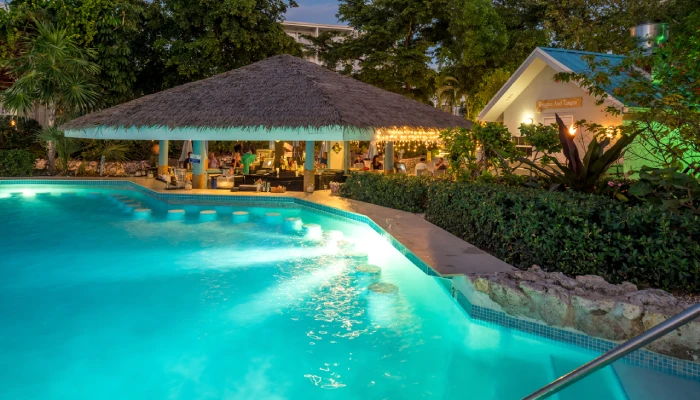 Pool / Swim up bar 6
