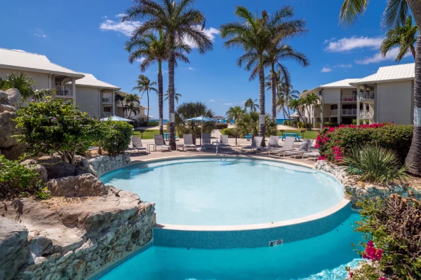 Pool / Swim up bar 5