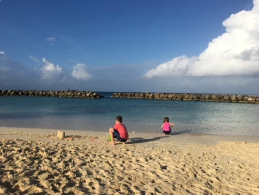 Beach Cove 5