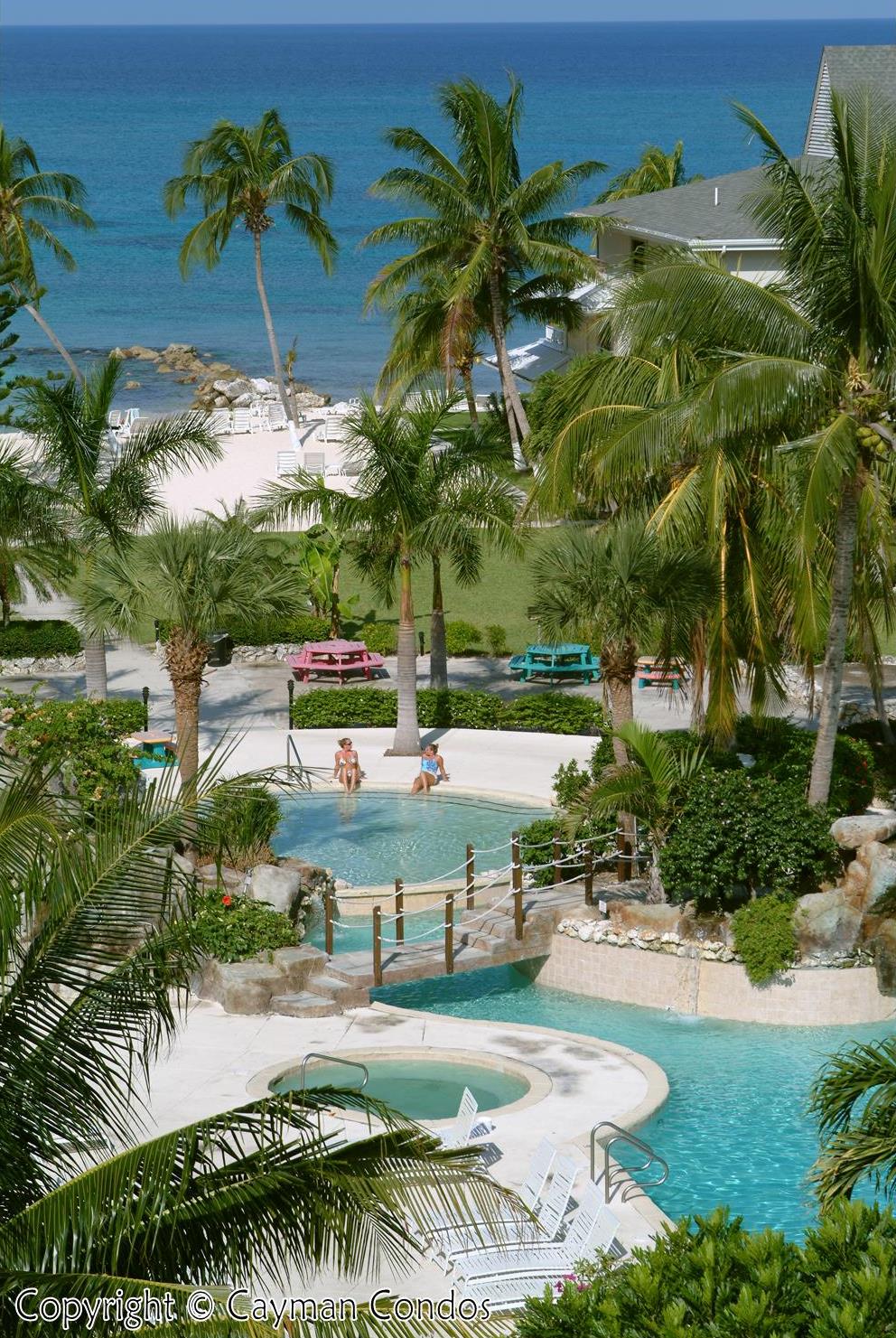 Swimming pool winds through landscaping and under walkways