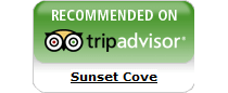 Trip Advisor link